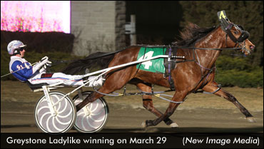 Greystone Ladylike Upsets 'Monkey'