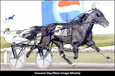 Groovie Day Arrives In Saskatchewan