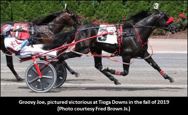 MacIntosh Trainees Impress At Qualifiers 