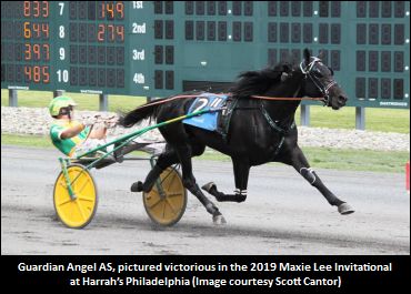 ‘Guardian’s Sights Set On Plainridge