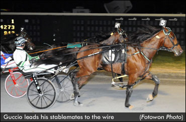 Stars Prep For Matrons & Progress