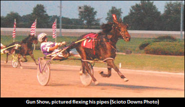 Accolade For Feelin Friskie 2yo