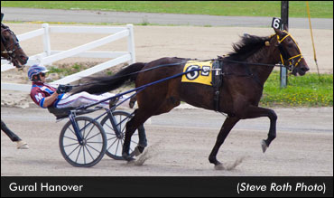 Gural Hanover To Return Wednesday