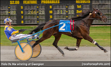 Halo Its Me Tops Filly Trots At Georgian