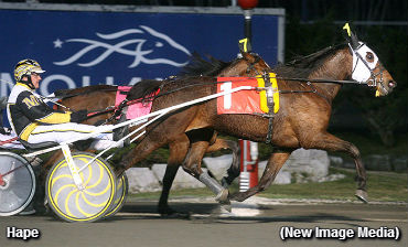 Fillies Spar In Celias Counsel