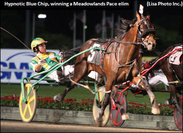 Hypnotic Blue Chip Retired