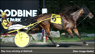 Hey Livvy Blows Away Preferred