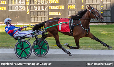 Highland Foxytrotr Fastest In Grassroots