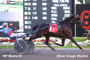 Fillies Flaunt It In Grassroots