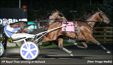HP Royal Theo Rebounds In OSS Gold