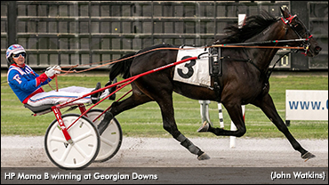 Fillies Put On Speed Show In Innisfil