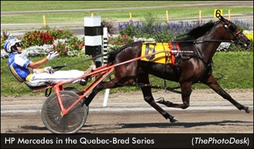 HP Mercedes Shines In Quebec