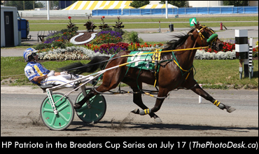 Roy Triples In Breeders Cup Series
