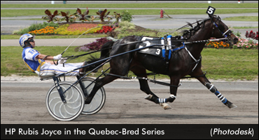 Maidens Shine In Quebec Series