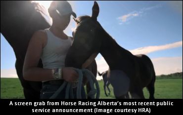 "There's A Horse For Everyone"