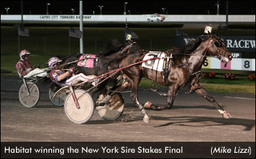 First Set Of NY Champions Crowned