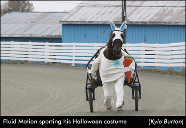 A Happy Halloween At Truro