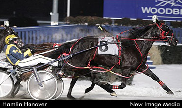 Snowshoe Stakes Final Set