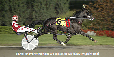 Hana Hanover Heads To Lady Liberty