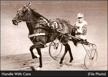 A Year Like No Other