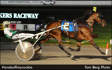 Handsoffmycookie Hands Down The Best