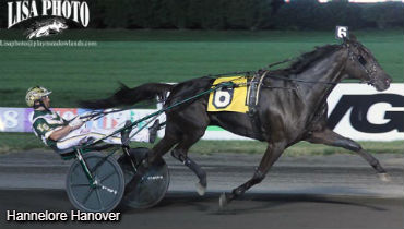 Huge Mile For Hannelore Hanover 