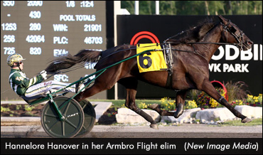 Fields Set For Armbro Flight, Goodtimes