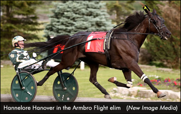 Armbro Flight, Goodtimes Fields Set