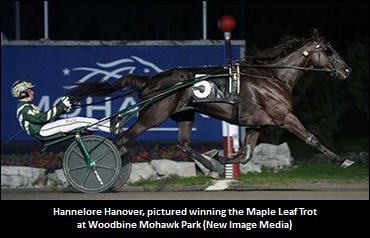 Full Sibling To 'Hannelore' Arrives