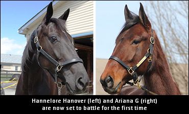 Hannelore And Ariana Set To Spar