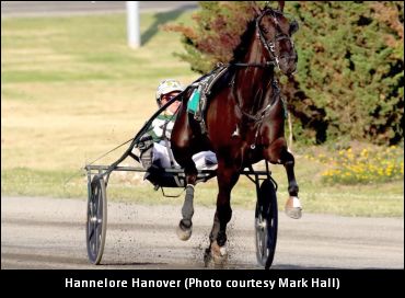 Baldachino Discusses Supplement