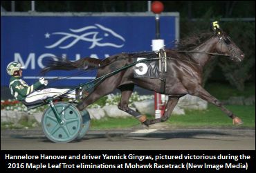 Connections On ‘Hannelore’s Career