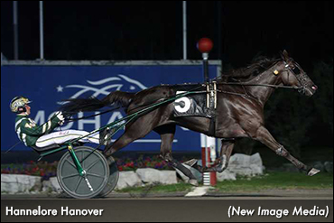 Maple Leaf Trot Eliminations Set