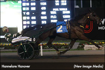 Hannelore Hanover Has First Foal