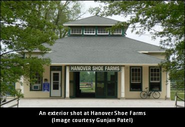 Hanover Acquires Top Broodmares