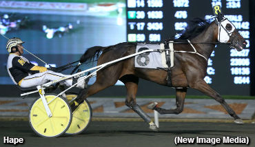 More Grassroots Glory For Hape