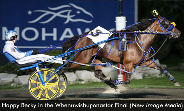 Undefeated Filly Wins Series Final