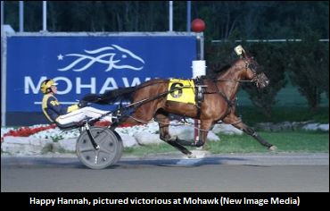 Tough Posts For Steacy’s Fillies