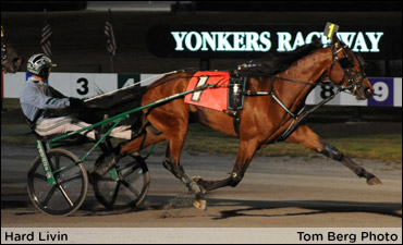 Busy Stakes Weekend Ahead For Takter