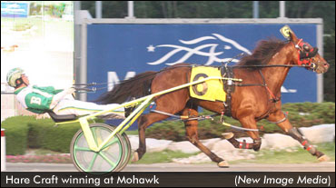 Hare Craft Wins Second Gold Cup & Saucer Trial