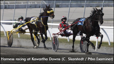 Expansion Planned For Kawartha Downs