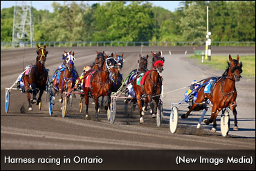 Ontario's 2021 Race Dates Calendar