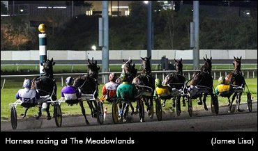 'Big M' Adds Barefoot Horse Policy