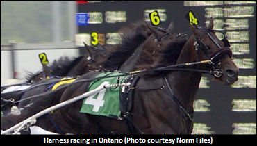 Muscle Mass, Manofmanymissions To Remain In Ontario 