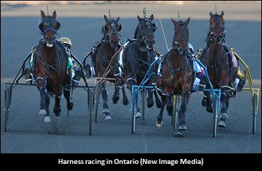 COVID-19 Ontario Racetrack Minimum Standards Protocol