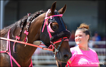 Harness The Hope At Leamington Sunday