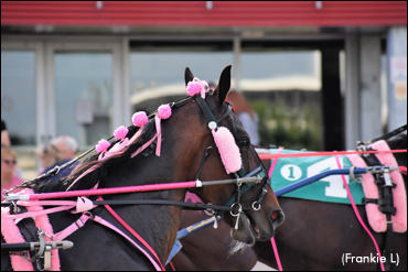 Harness The Hope Days At Ontario Tracks
