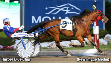 Filion Doubles In Gold Series