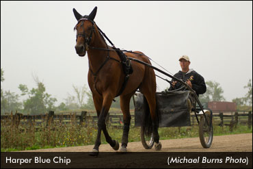 Will Steacy's 'Crown' Luck Continue?