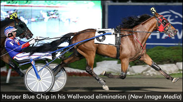 Harper Blue Chip Sets OSS Record